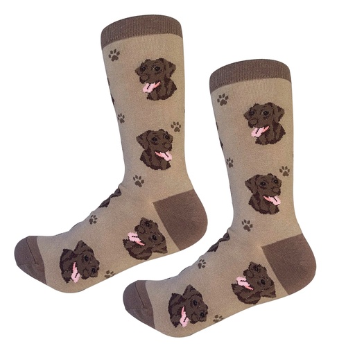 [800-22] Labrador, chocolate Sock Daddy