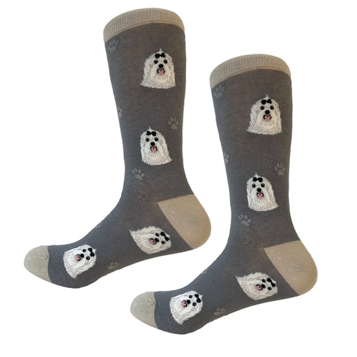 [800-24] Maltese  Sock Daddy