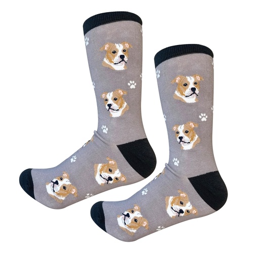 [800-26] Pit Bull Sock Daddy