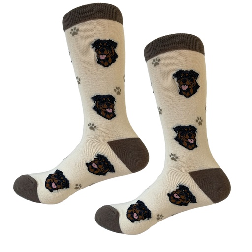 [800-33] Rottweiler  Sock Daddy