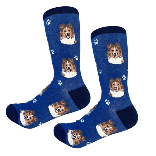 [800-37] Sheltie Sock Daddy