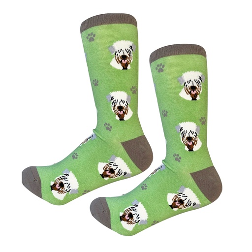[800-41] Soft Coated Wheaten Terrier  Sock Daddy