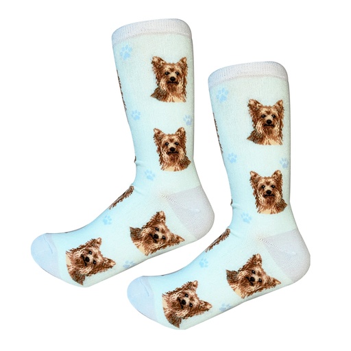 [800-46] Yorkie  Sock Daddy