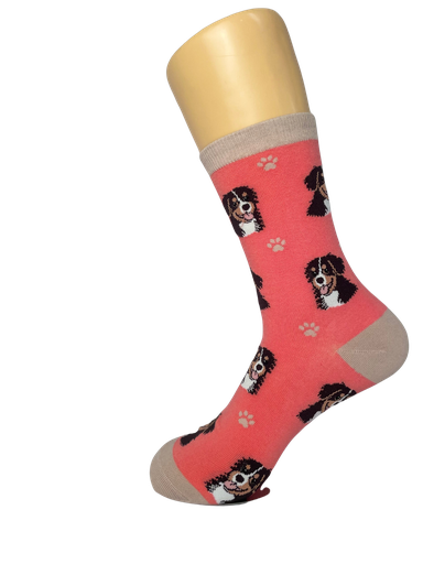 [800-52] Bernese Mt. Dog  Sock Daddy