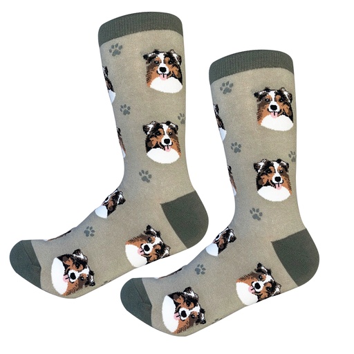[800-53] Australian Shepherd  Sock Daddy