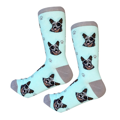 [800-90] Australian Cattle Dog Sock Daddy
