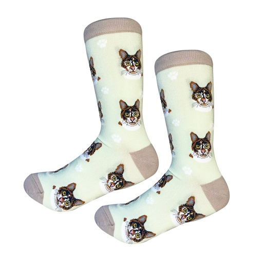 [801-2] Calico Sock Daddy
