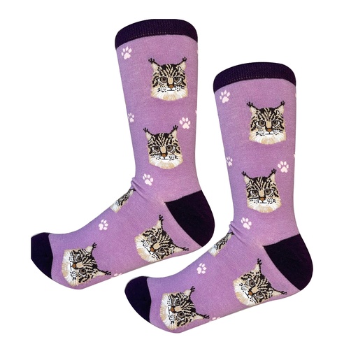 [801-6] Maine Coon Sock Daddy