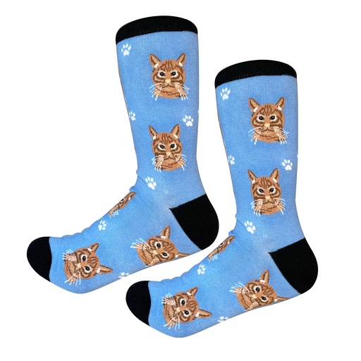 [801-9] Tabby, Orange Sock Daddy