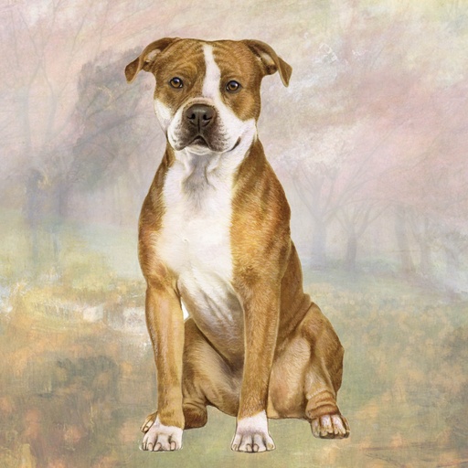 [770-73] Pitbull, Uncropped Tote, foldable