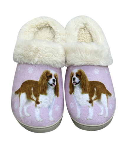 King Charles Cavalier - Snugg Slippers