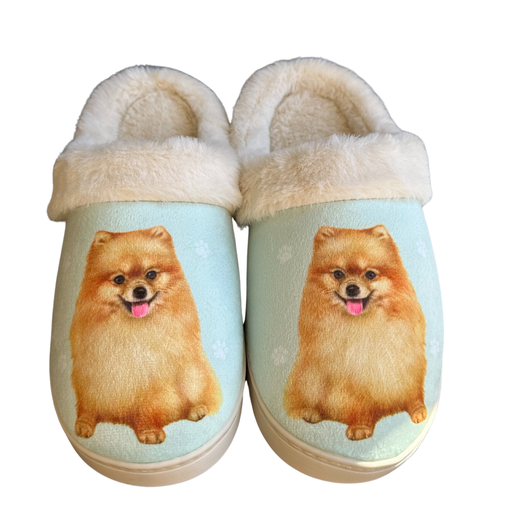 Pomeranian - Snugg Slippers