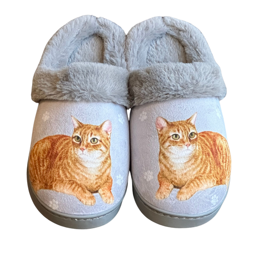 Tabby Orange - Snugg Slippers