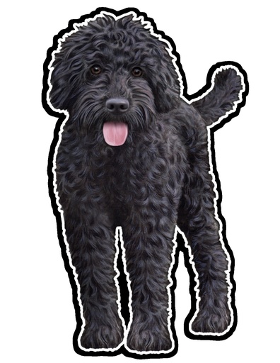 [788-121] Labradoodle, Black Sticker