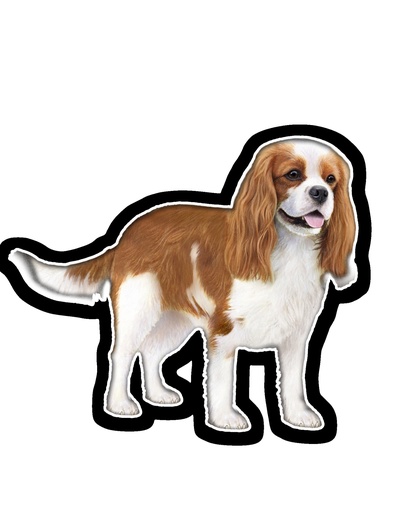[788-18] Cavalier King Sticker
