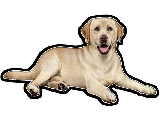 [788-20] Labrador, Yellow Sticker