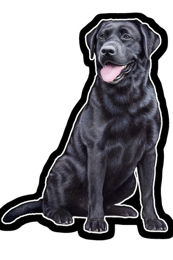 [788-21] Labrador, Black Sticker