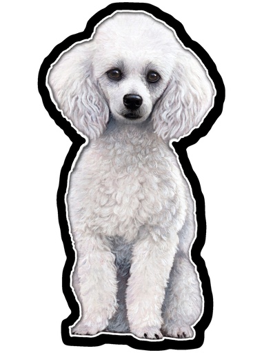 [788-28] Poodle, White Sticker