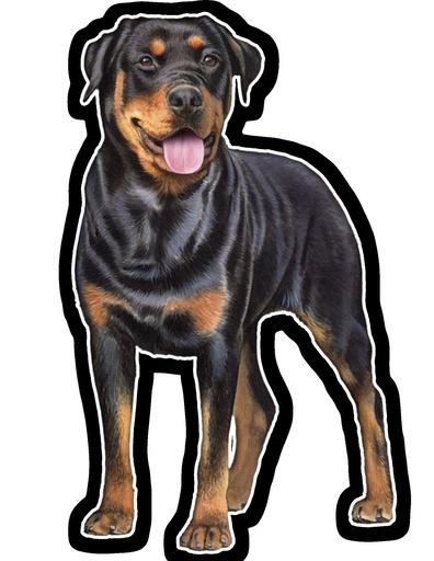 [788-33] Rottweiler Sticker
