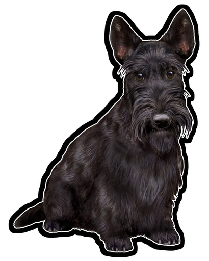 [788-35] Scottish Terrier Sticker