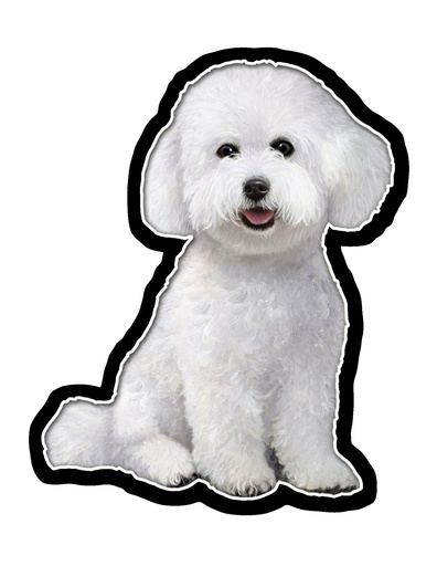 [788-4] Bichon Frise Sticker