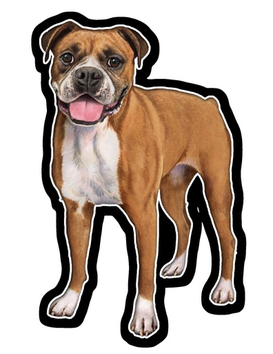 [788-6] Boxer, Uncropped Sticker