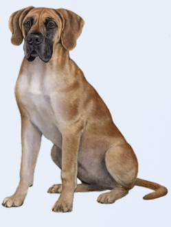 [788-66] Great Dane Sticker