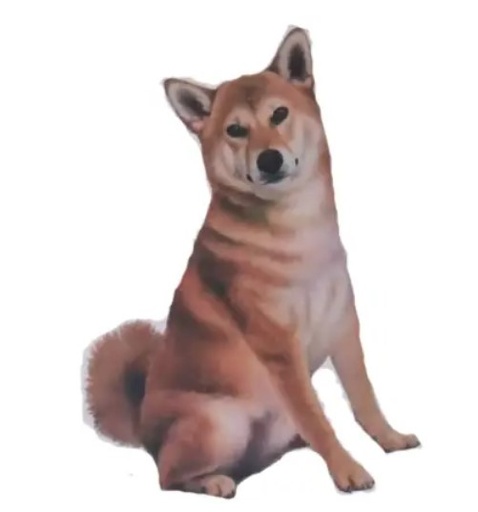 [788-68] Shiba Inu Sticker
