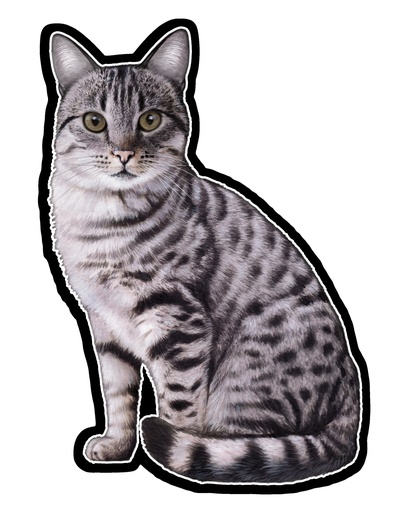 [789-9] Silver Tabby Sticker