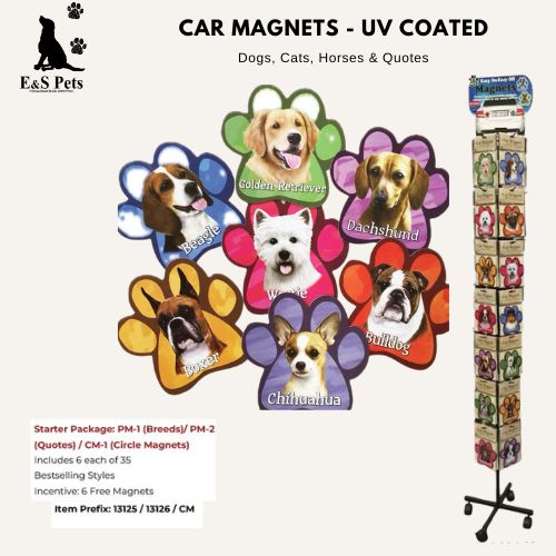 [PM-1] Car Magnets