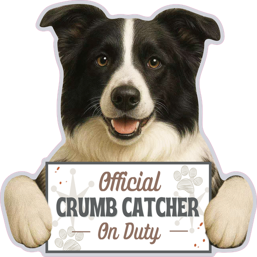 [247-5] Border Collie, Chip clip