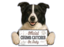 [247-5] Border Collie, Chip clip