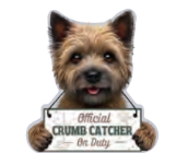 [247-9] Carin Terrier, Chip clip