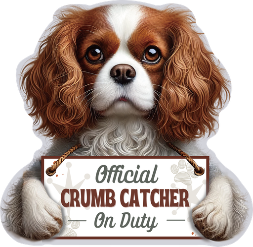 [247-18] Cavalier King, Chip clip