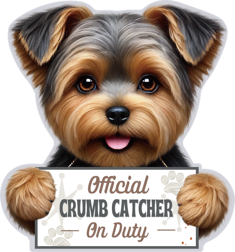 [247-107] Yorkie, Puppy Cut, Chip clip