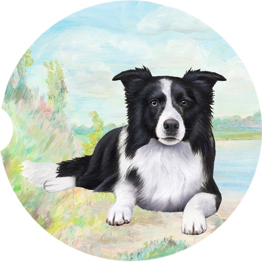 [233-5] Border Collie coasters car