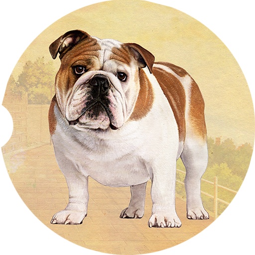 [233-8] Bulldog coasters car