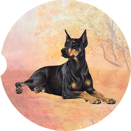 [233-101] Doberman Laying coasters car