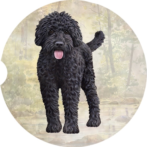 [231-121] Labradoodle Black  coasters car (Face)