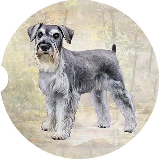 [233-105] Schnauzer coasters car (Standing)